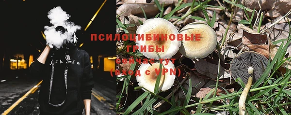 ECSTASY Приозерск