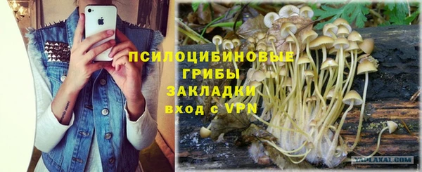 марки lsd Протвино