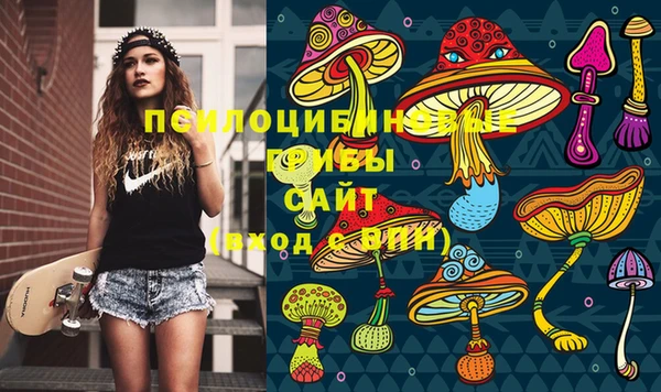 марки lsd Протвино