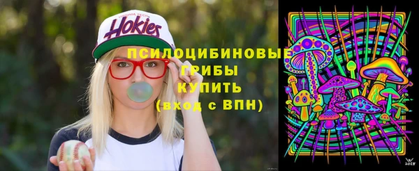 ECSTASY Приозерск