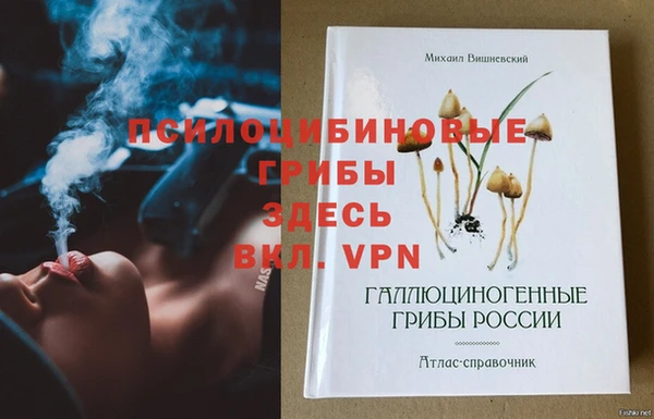 ECSTASY Приозерск