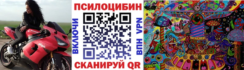 Псилоцибиновые грибы Magic Shrooms  Светогорск 