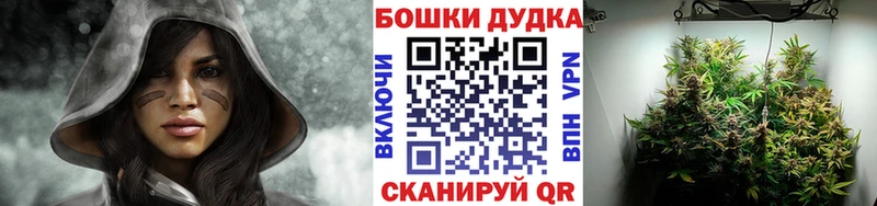 Канабис AK-47  где найти наркотики  Светогорск 